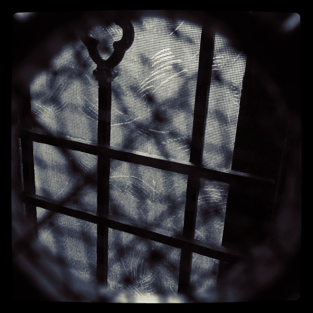 A Dark Image